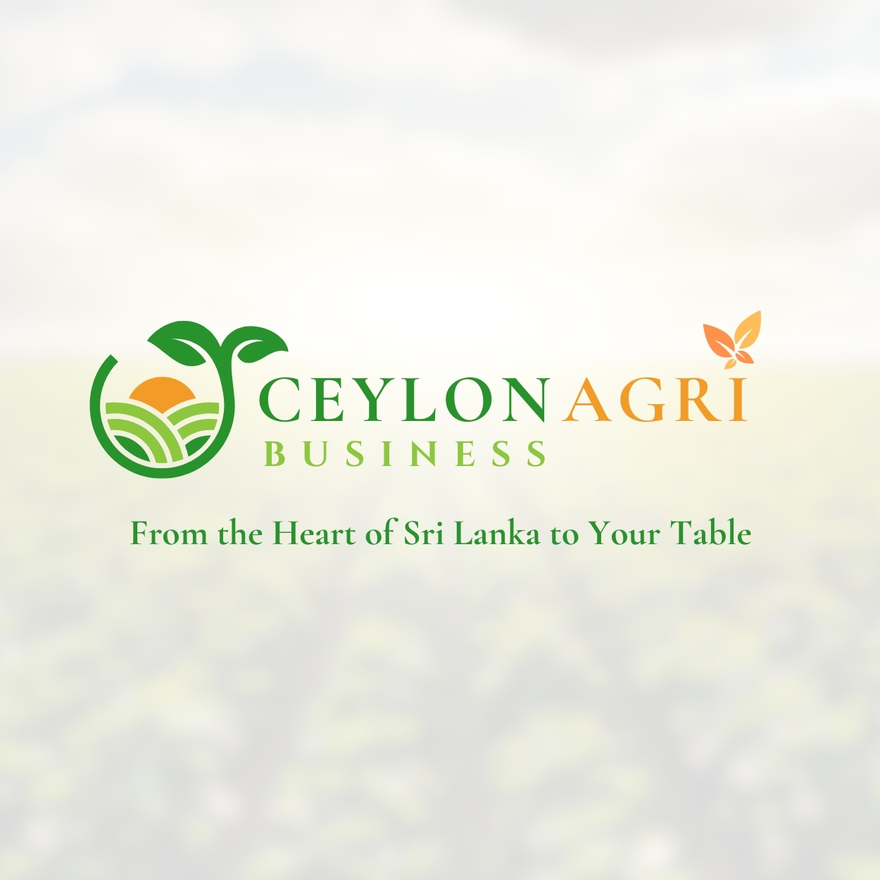Ceylon Agri Business | Diyagampola