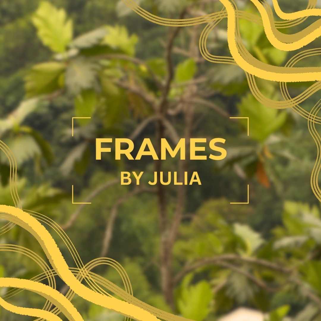 Frames by Julia