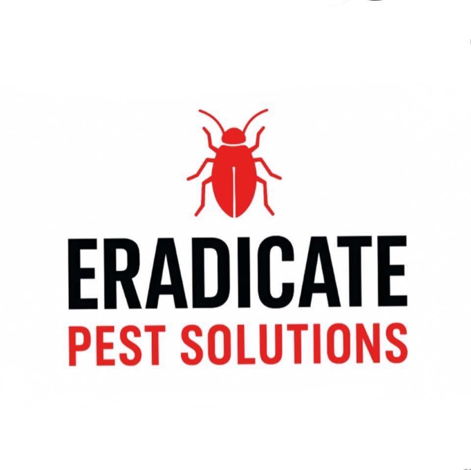 Eradicate Pest Solutions | Edmonton AB