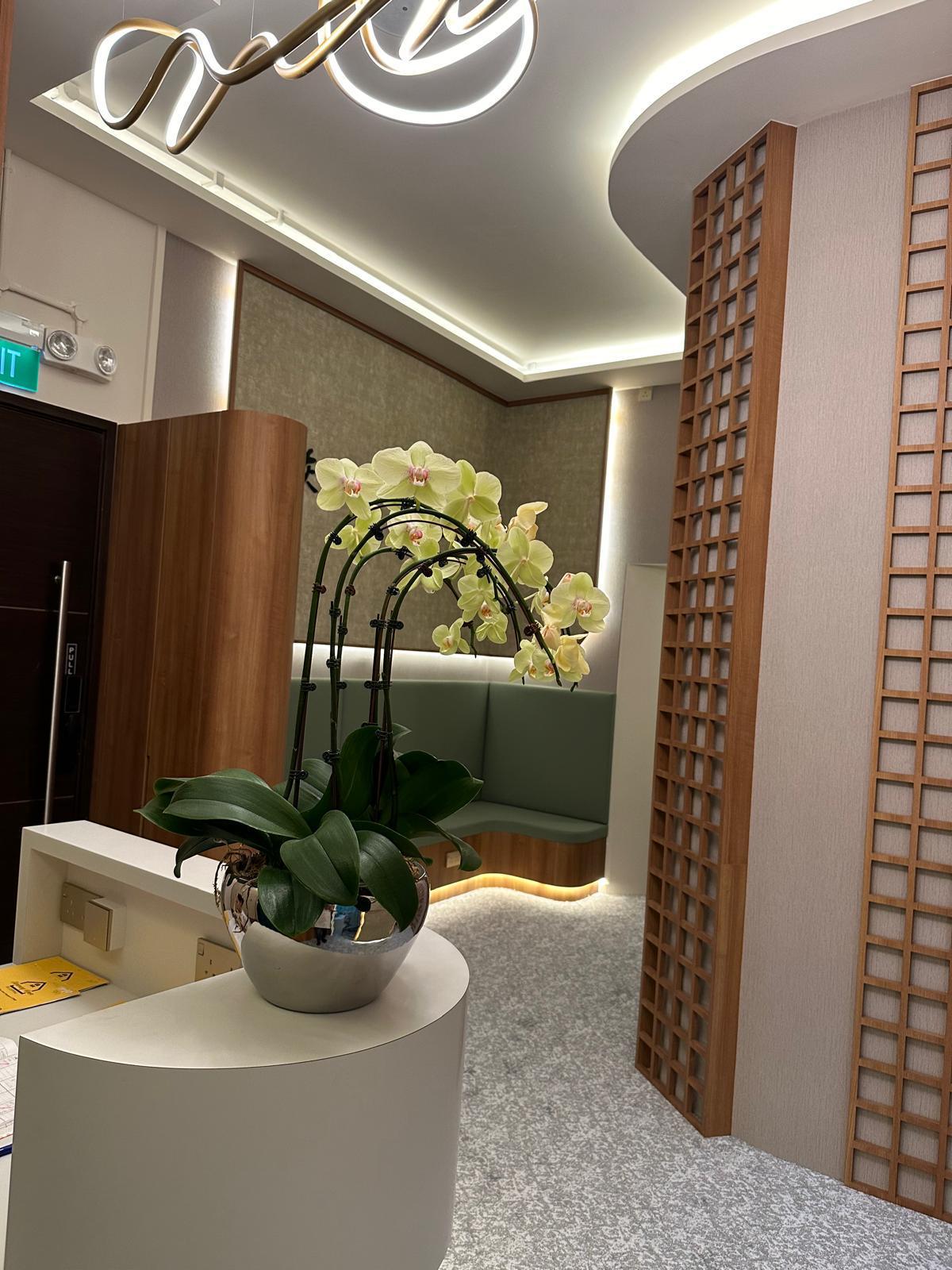 Amazing Reno | Singapore Singapore
