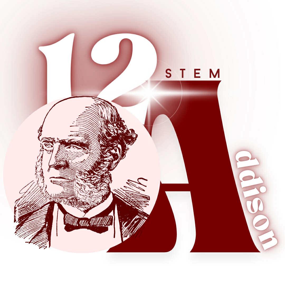 11 - Addison