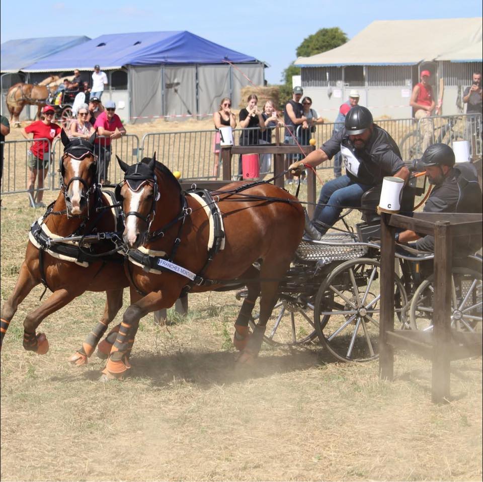 Team_KPL - Team_KPL added a new photo — at Hippodrome...