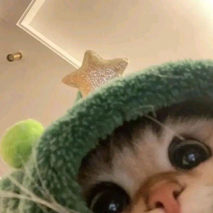 8k dapet pet gak? | Facebook