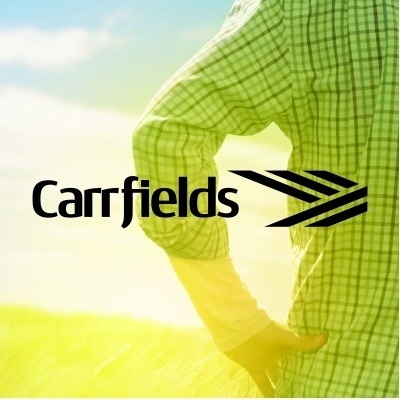 Carrfields Livestock Lower North Island | Feilding