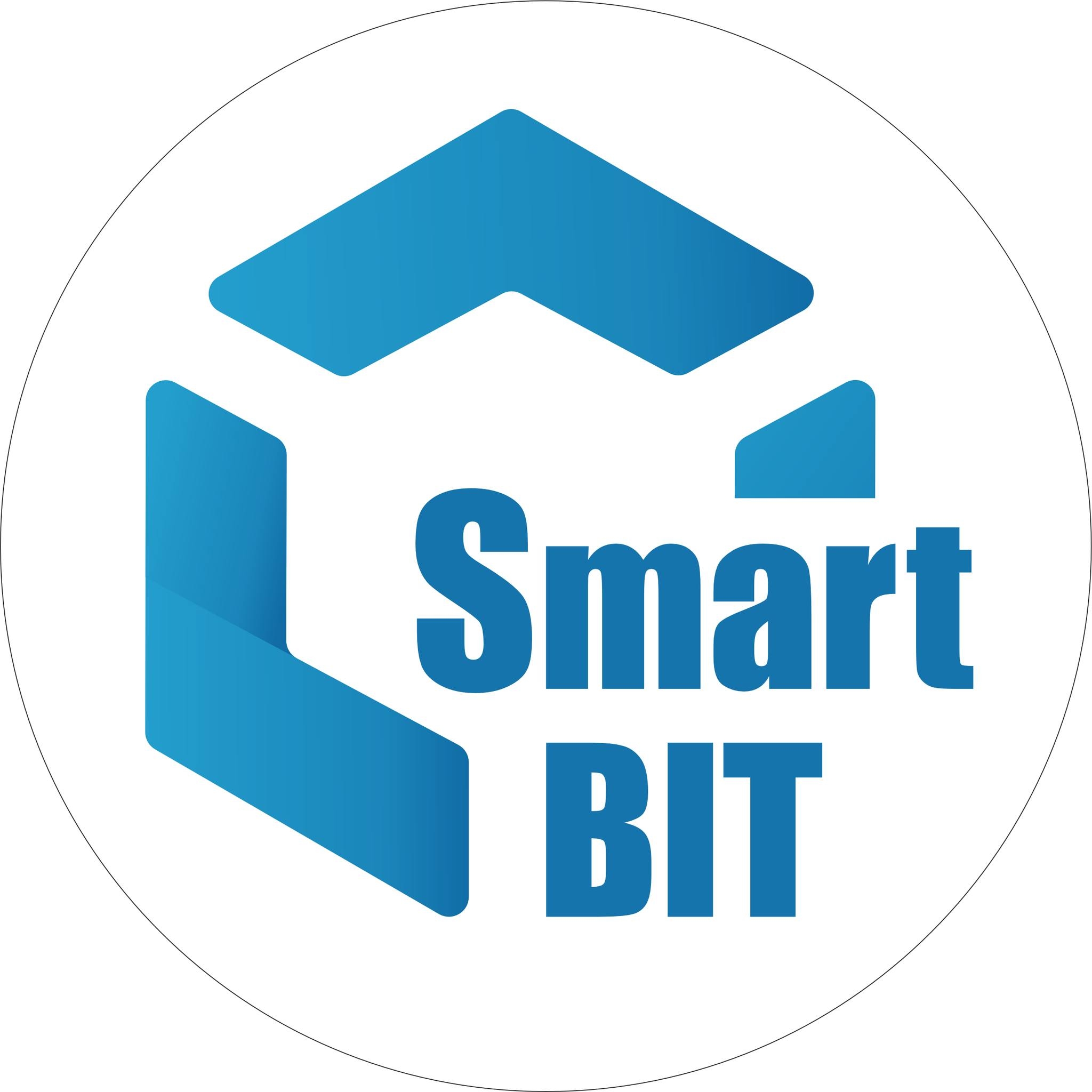 Smart Bit