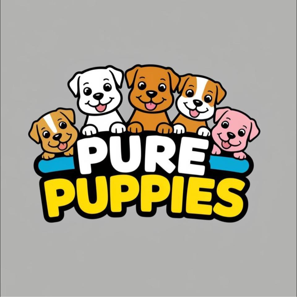 Pure Puppies