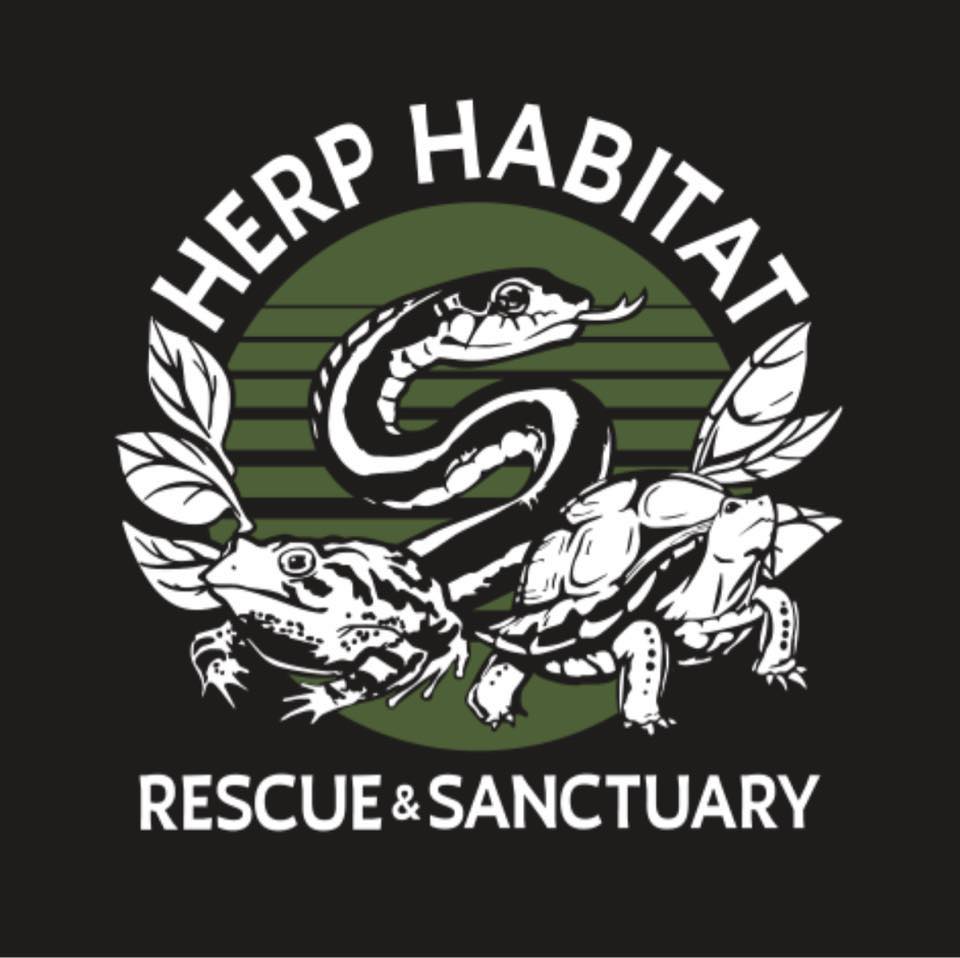 Quad cities reptiles | Our current adoptable animals | Facebook