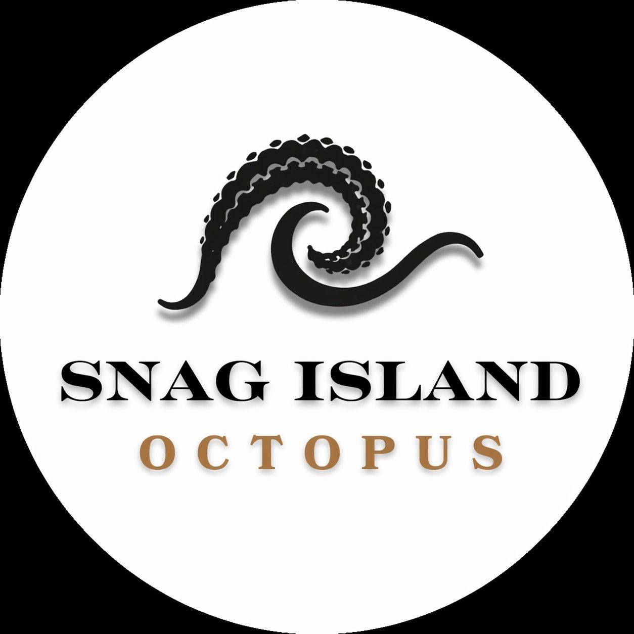 Snag Island Octopus | Leeman WA