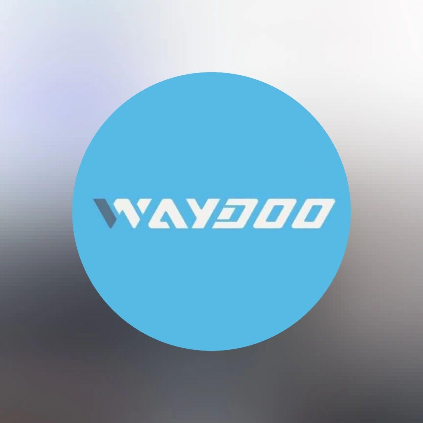 Waydoo Efoil Flyers🏄 | Waydoo Master w/ Folding Prop What a Rush | Facebook
