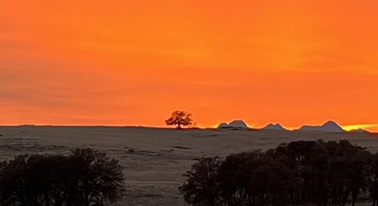 Far View Ranch