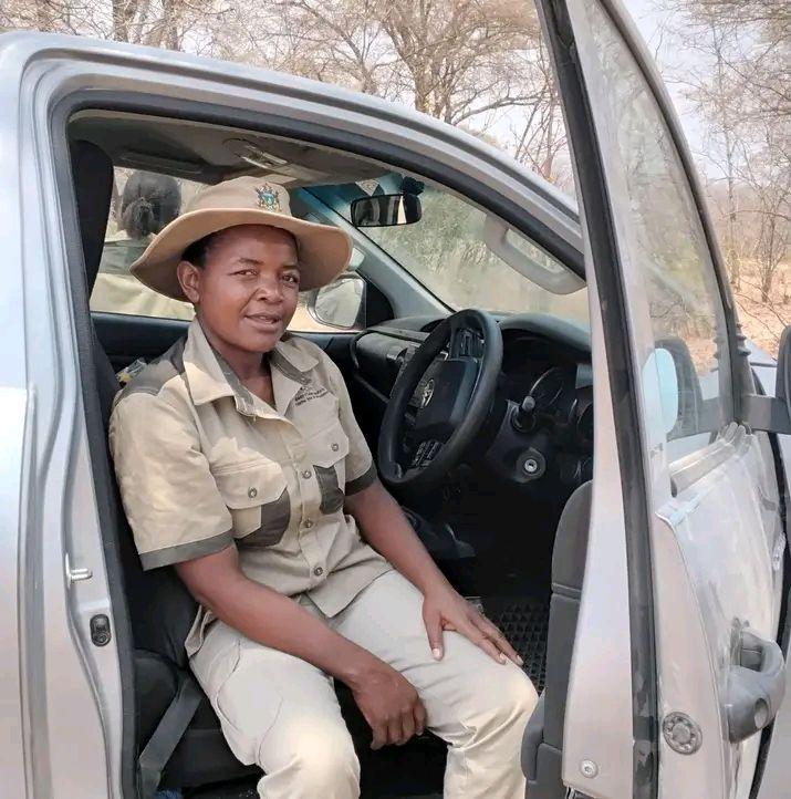 Agric Show round-up Varimi heyo mbeu yenyu ye gorosi kubva ku Agriseeds ...