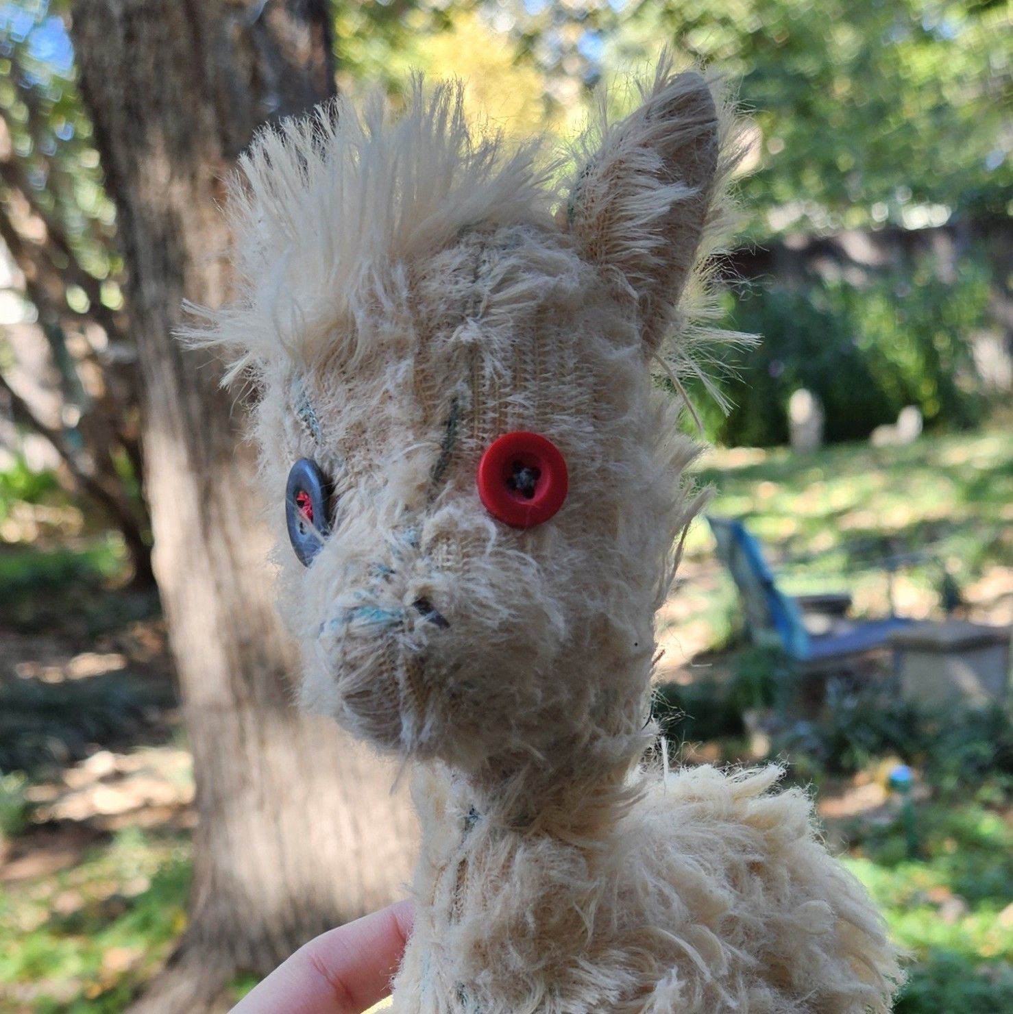 Sky Puppy Moth for Sale | Facebook