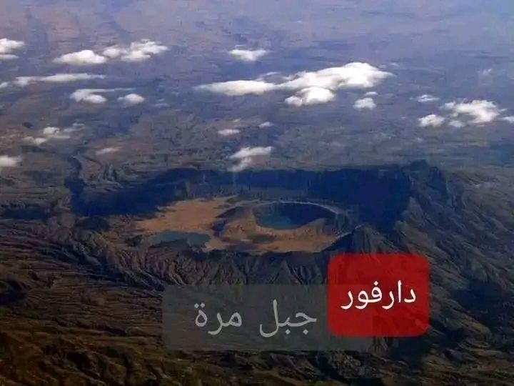 ضرار احمد ضرار