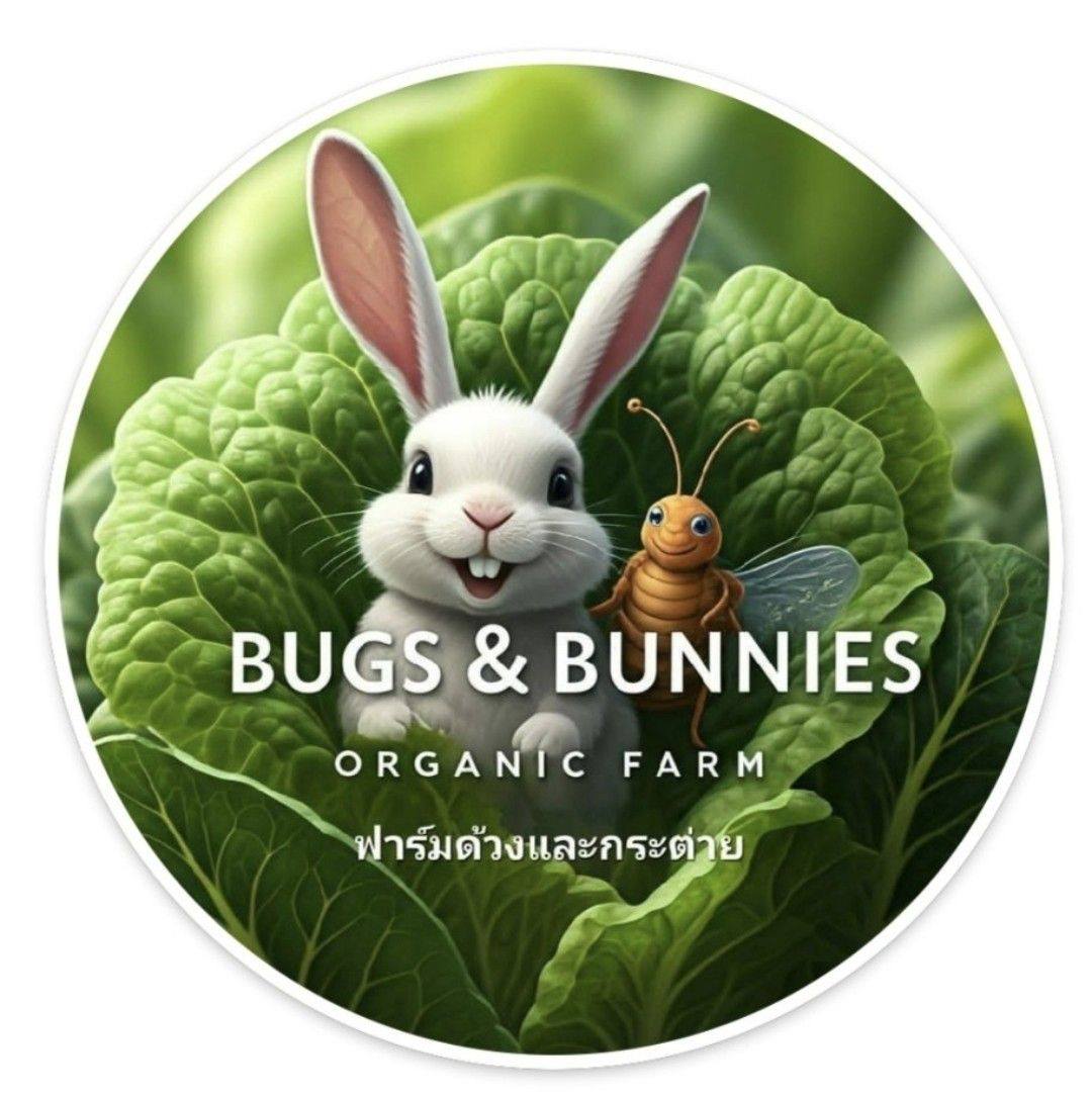 Rabbits - HOW MANY LITTERS CAN A RABBIT HAVE IN A YEAR? Rabbits are ...