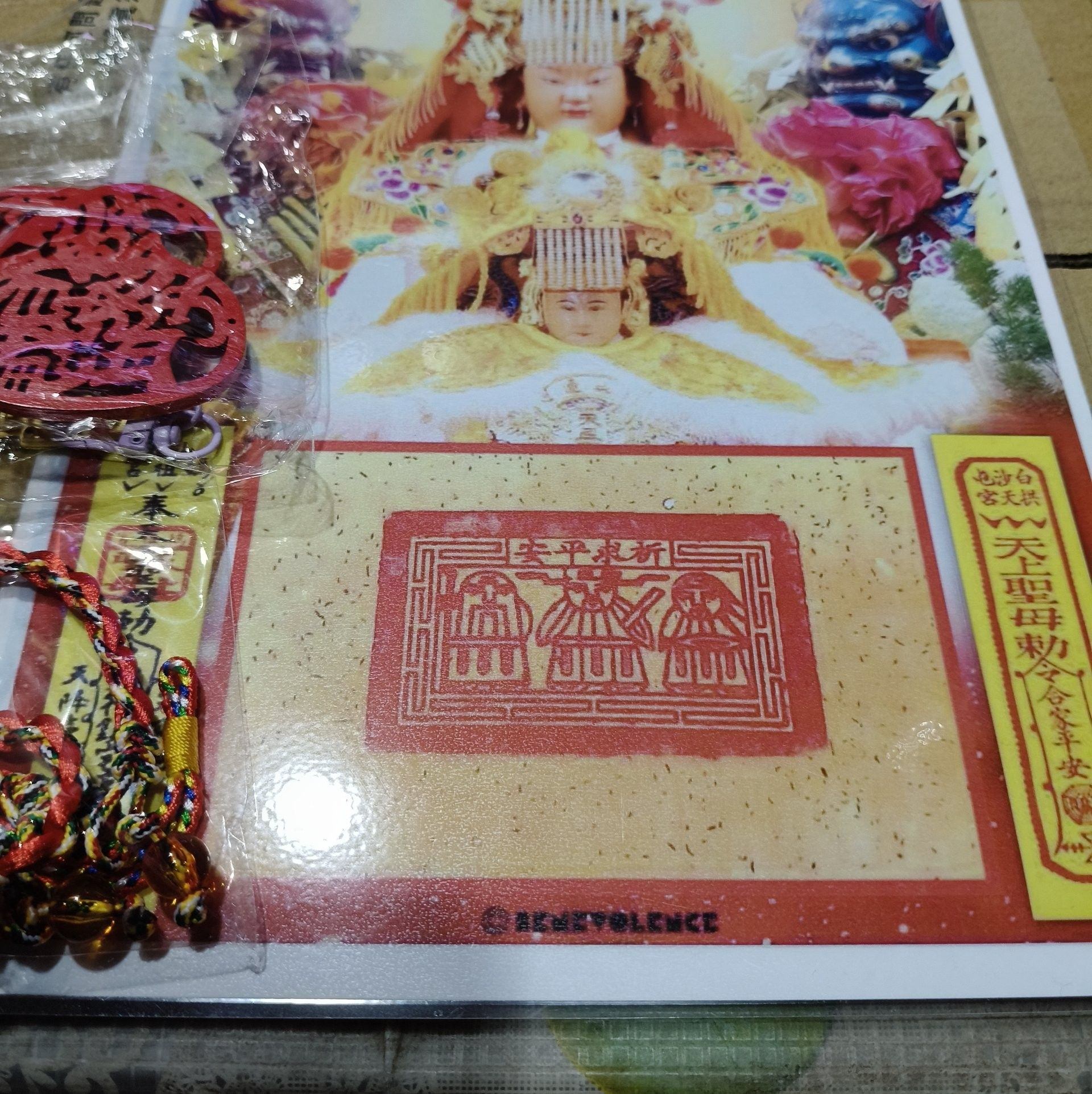 真的好美的松叶牡丹，叶子也有淡淡的香味～ | Meteor Garden 流星花园