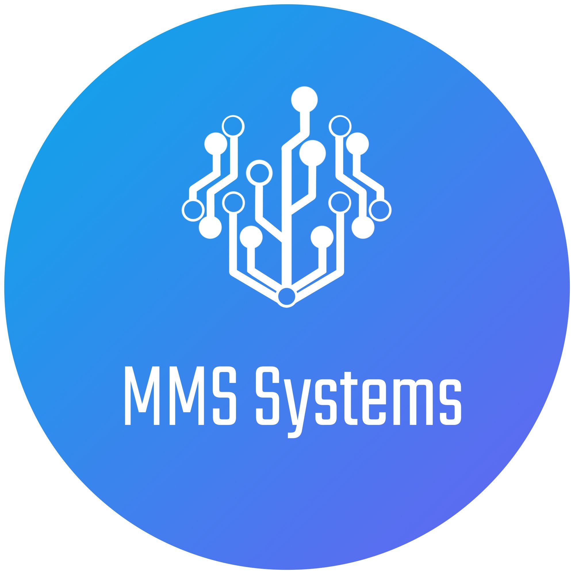 MMS Systems | Szolnok