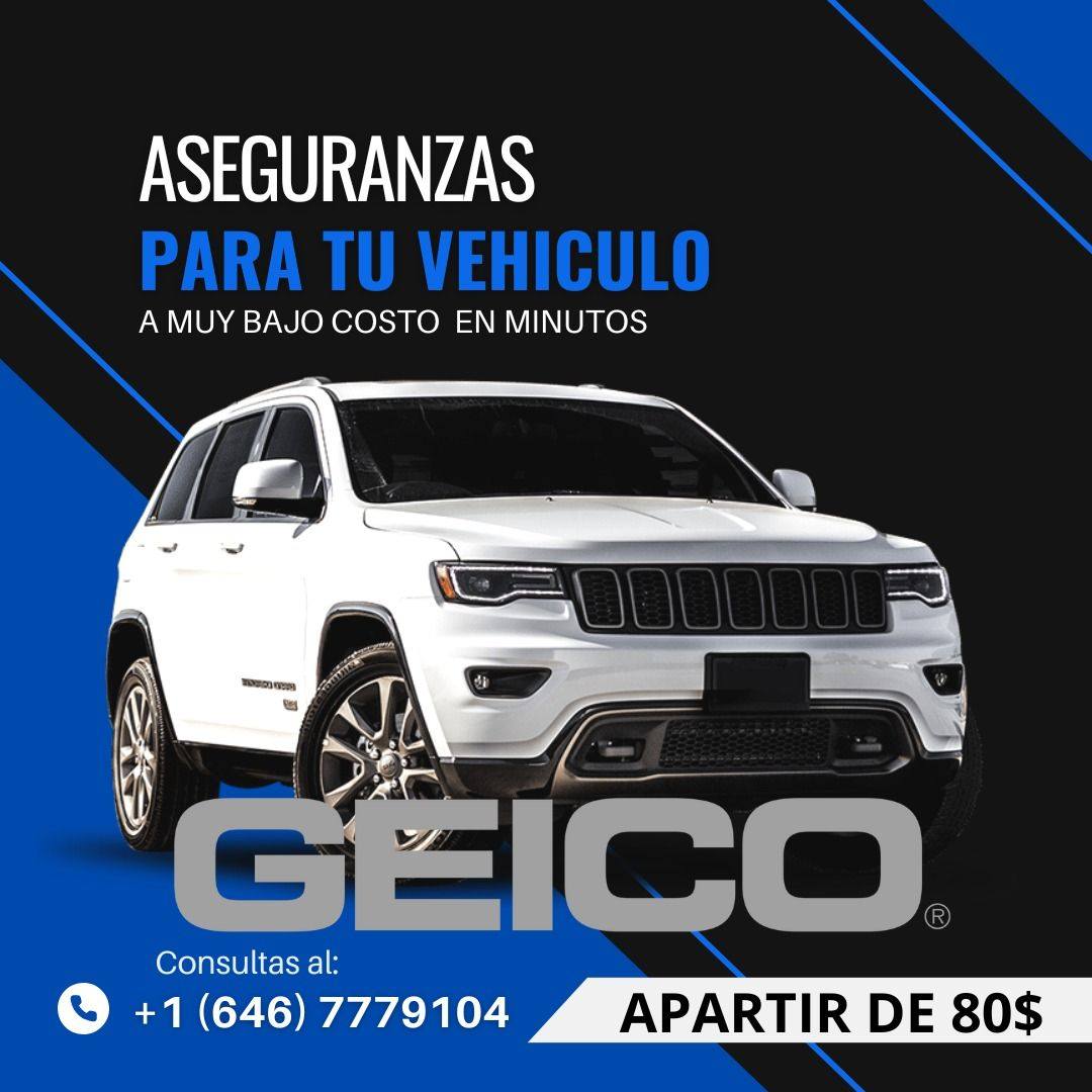 SW AUTO LLC