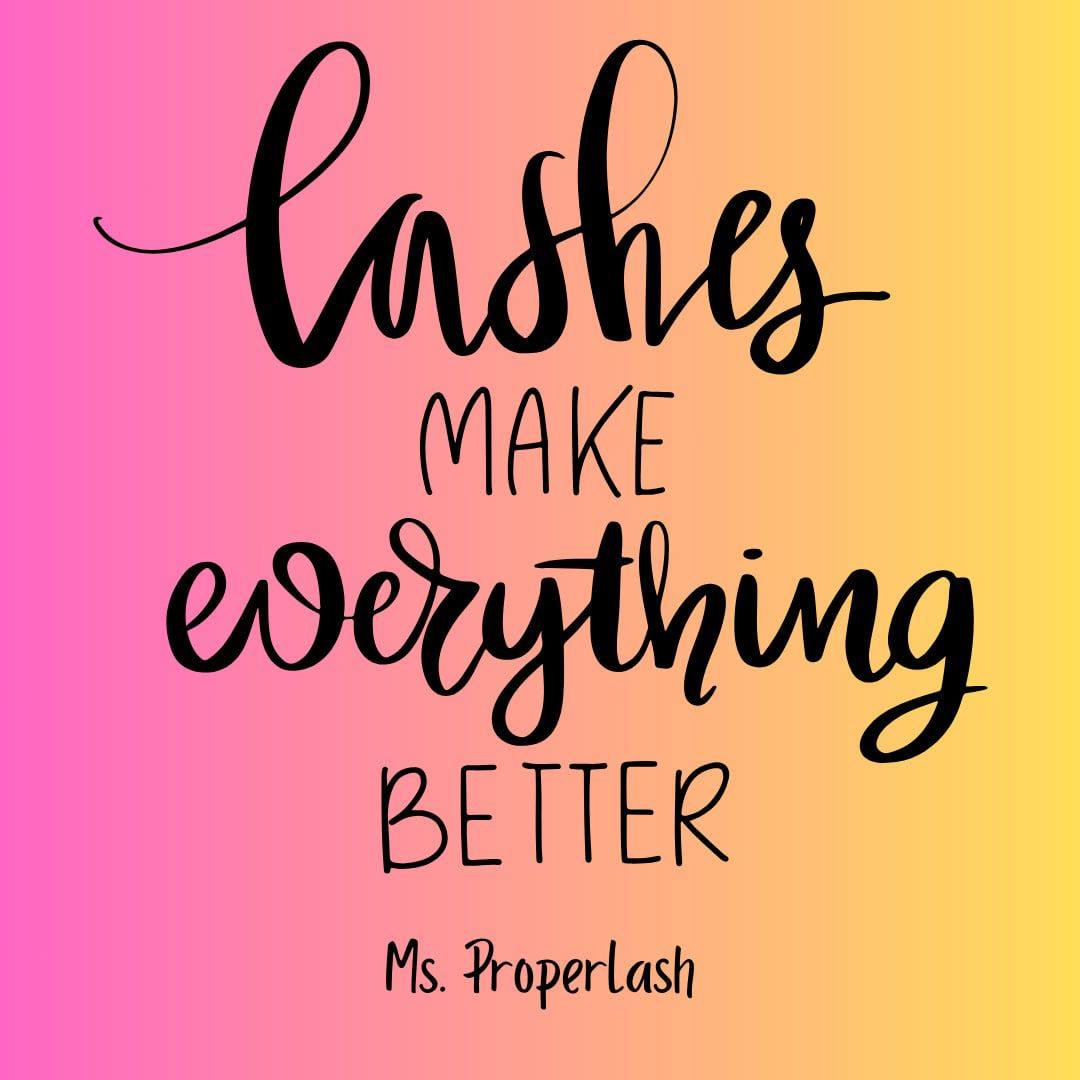 Msproperlash