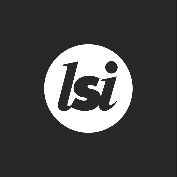 LSI Projects