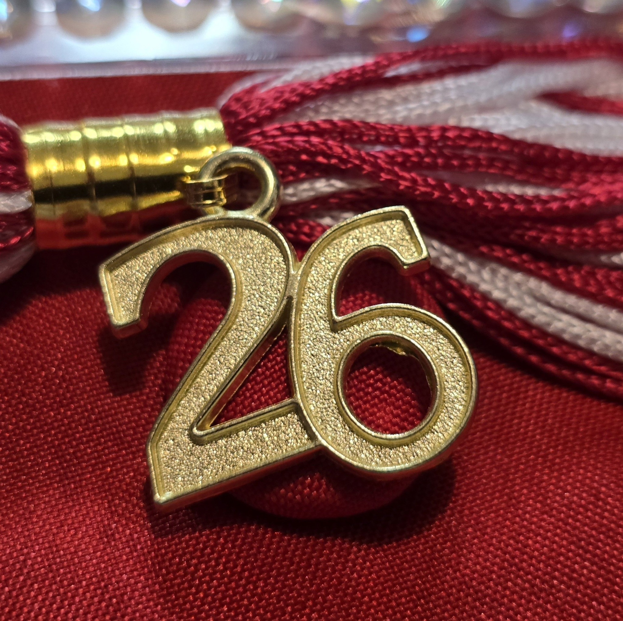 Class of 2026 Photo Project BRSD Raiders