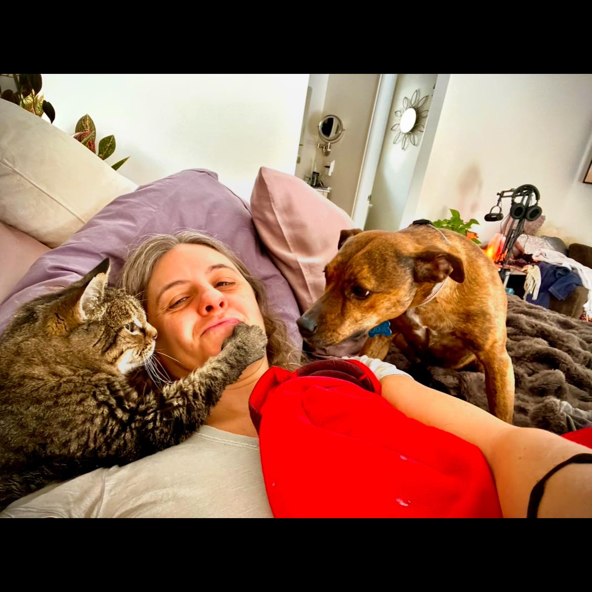 Rhea’s Denver/Aurora Pet Sitting and CO House Sitting