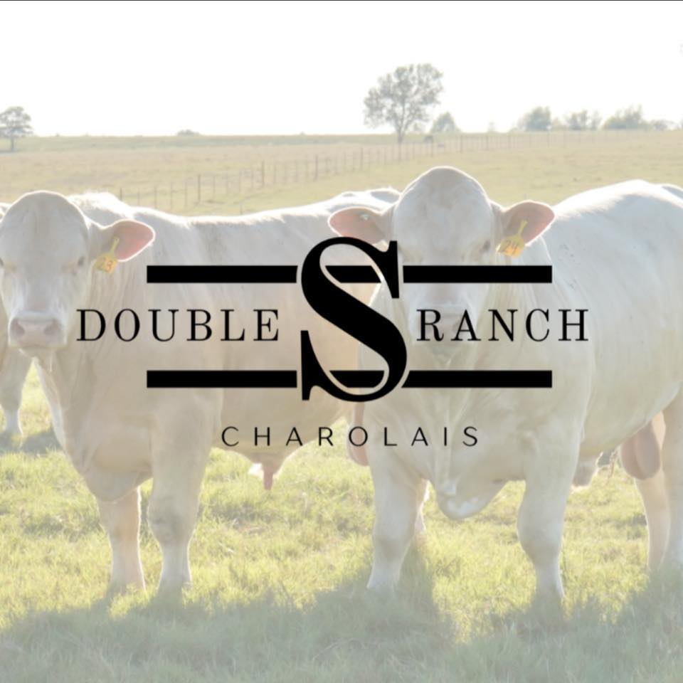 Double S Ranch & Cattle | Brenham TX