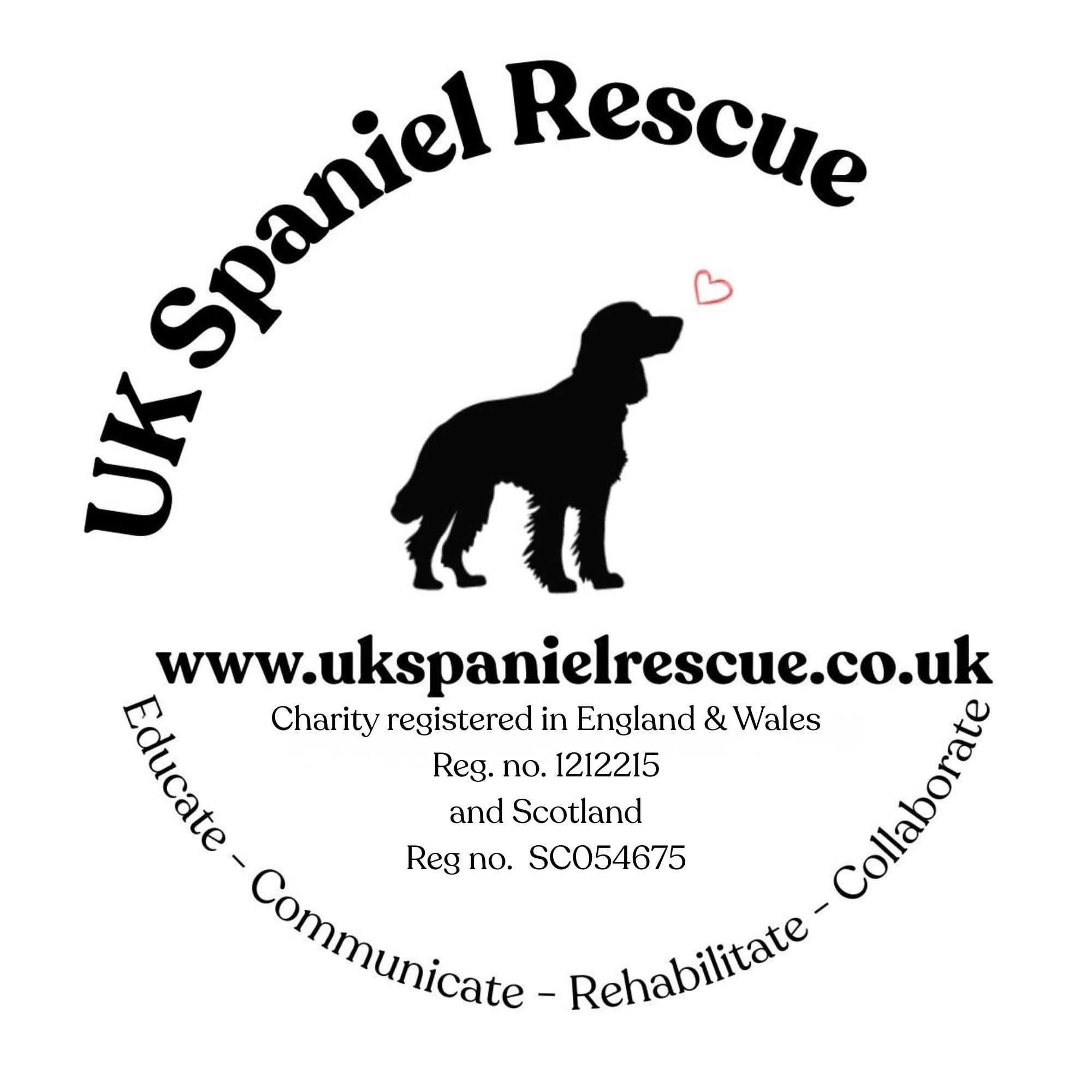 UK Spaniel Rescue