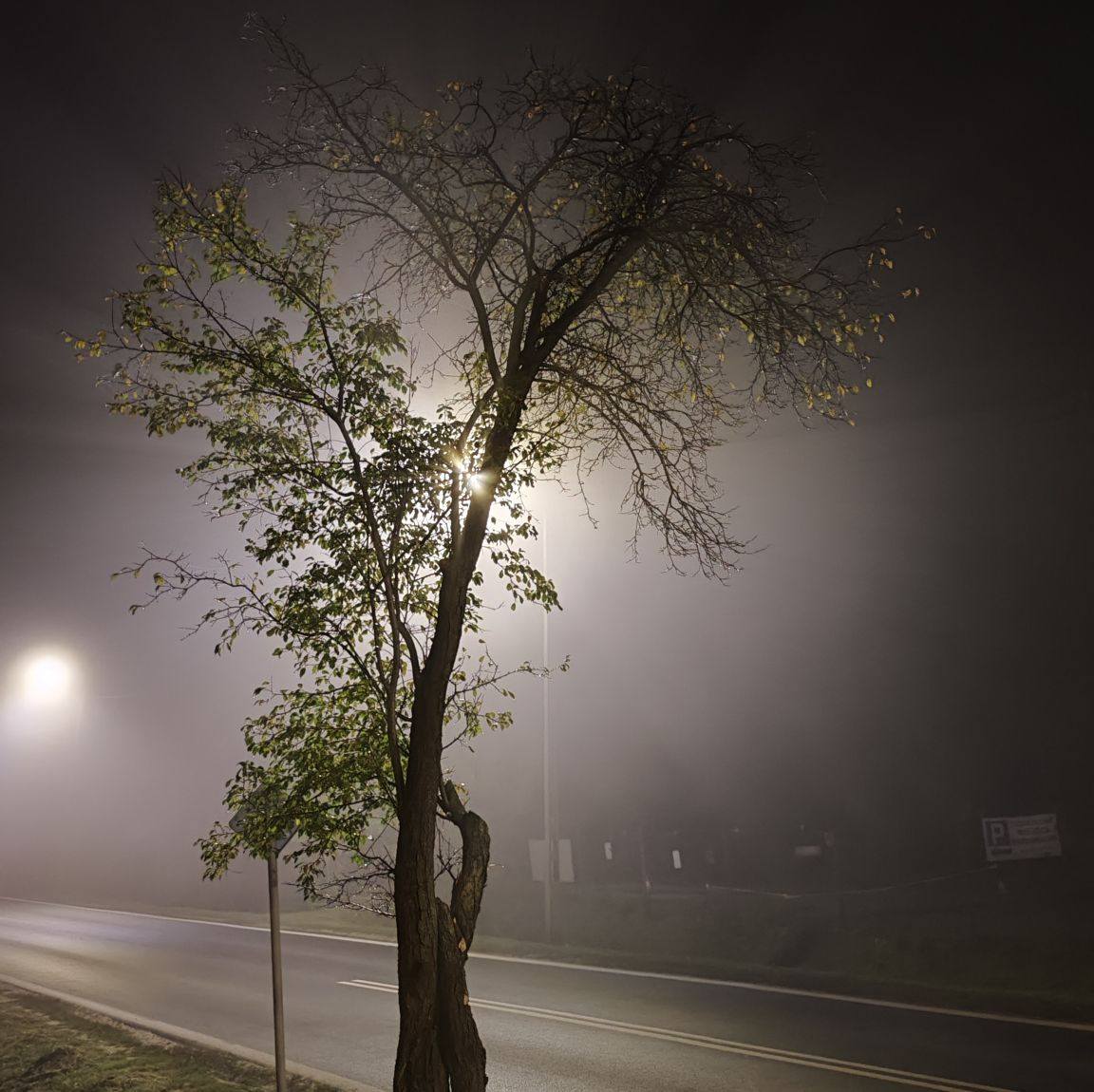 Nie ma jednego, wielkiego cenzora. Telewizja stopniowo wyłącza myślenie ...