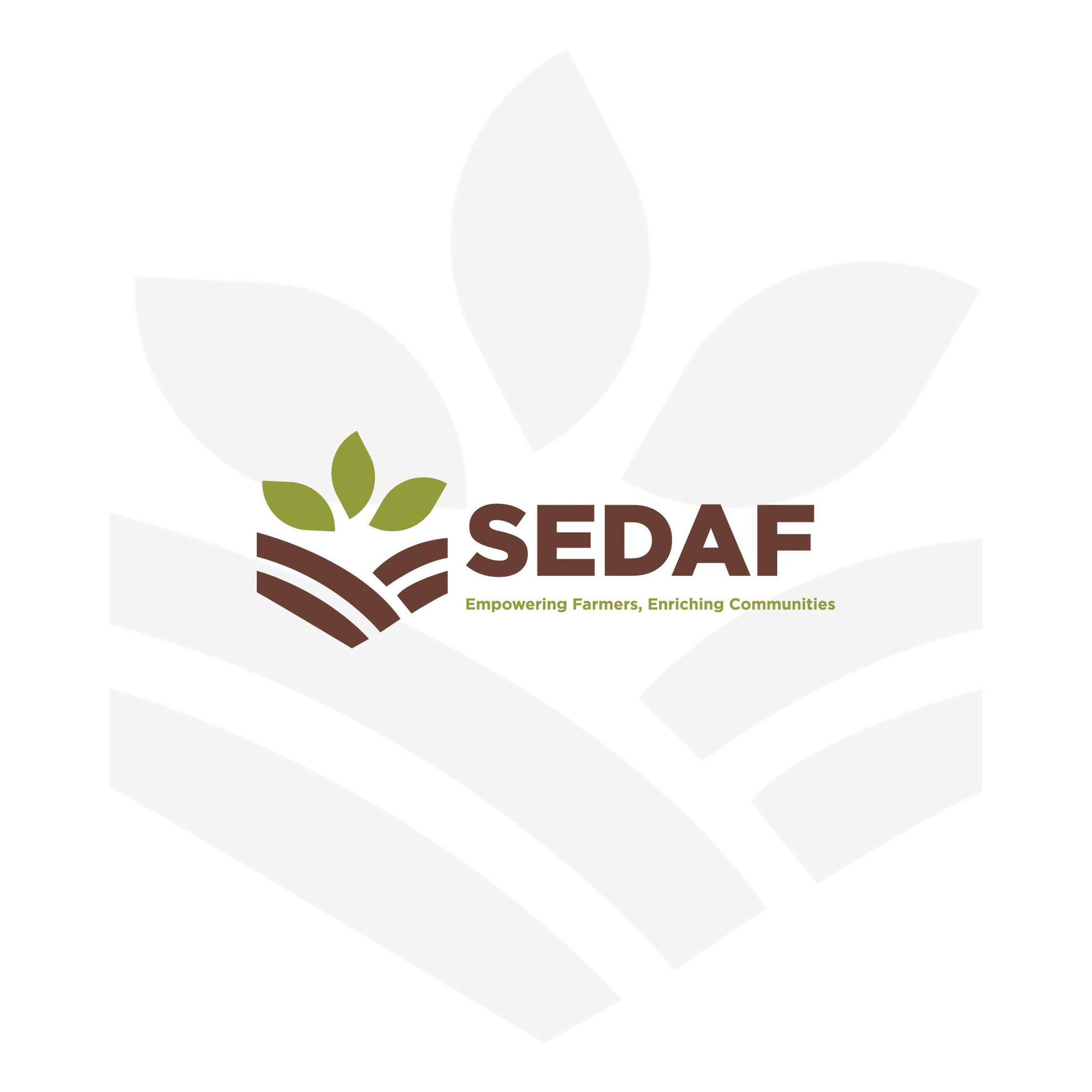 The Seed and Agriculture Foundation | Harare