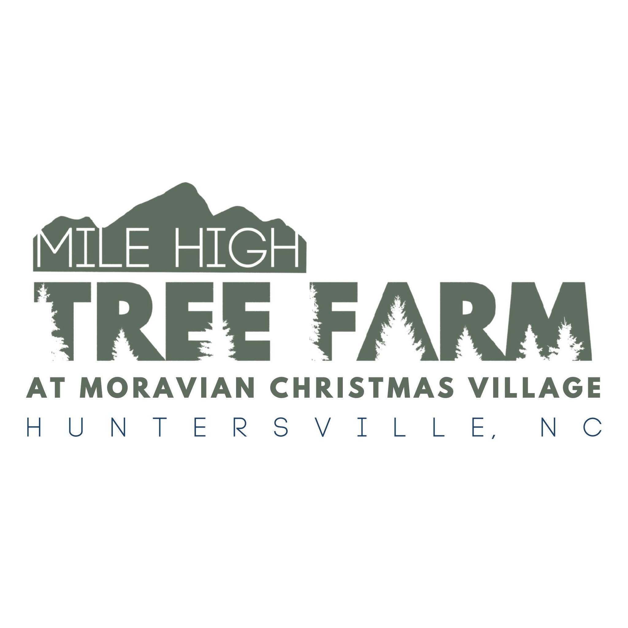 Mile High Tree Farm at Moravian Christmas Village | Huntersville NC