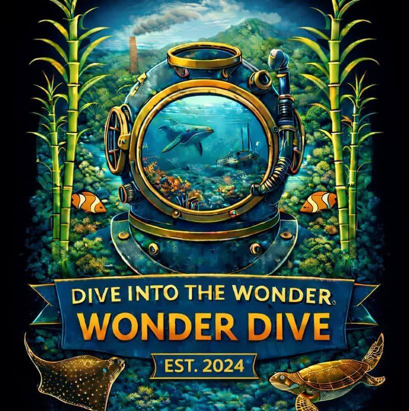 Wonder Dive - 🌊 Wonder Dive Mackay– Offshore Exploration... | Facebook