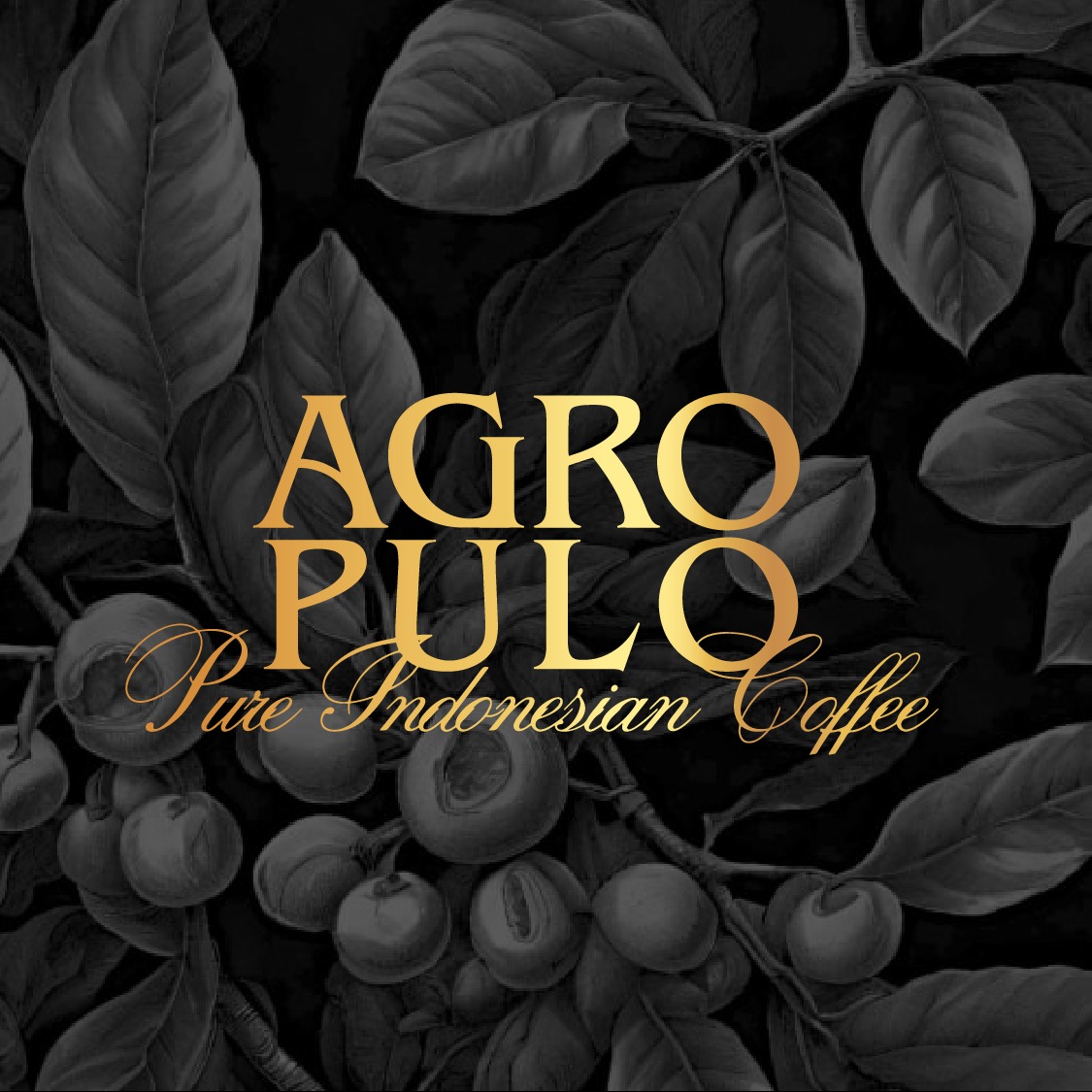 Agro Pulo Coffee | South Jakarta