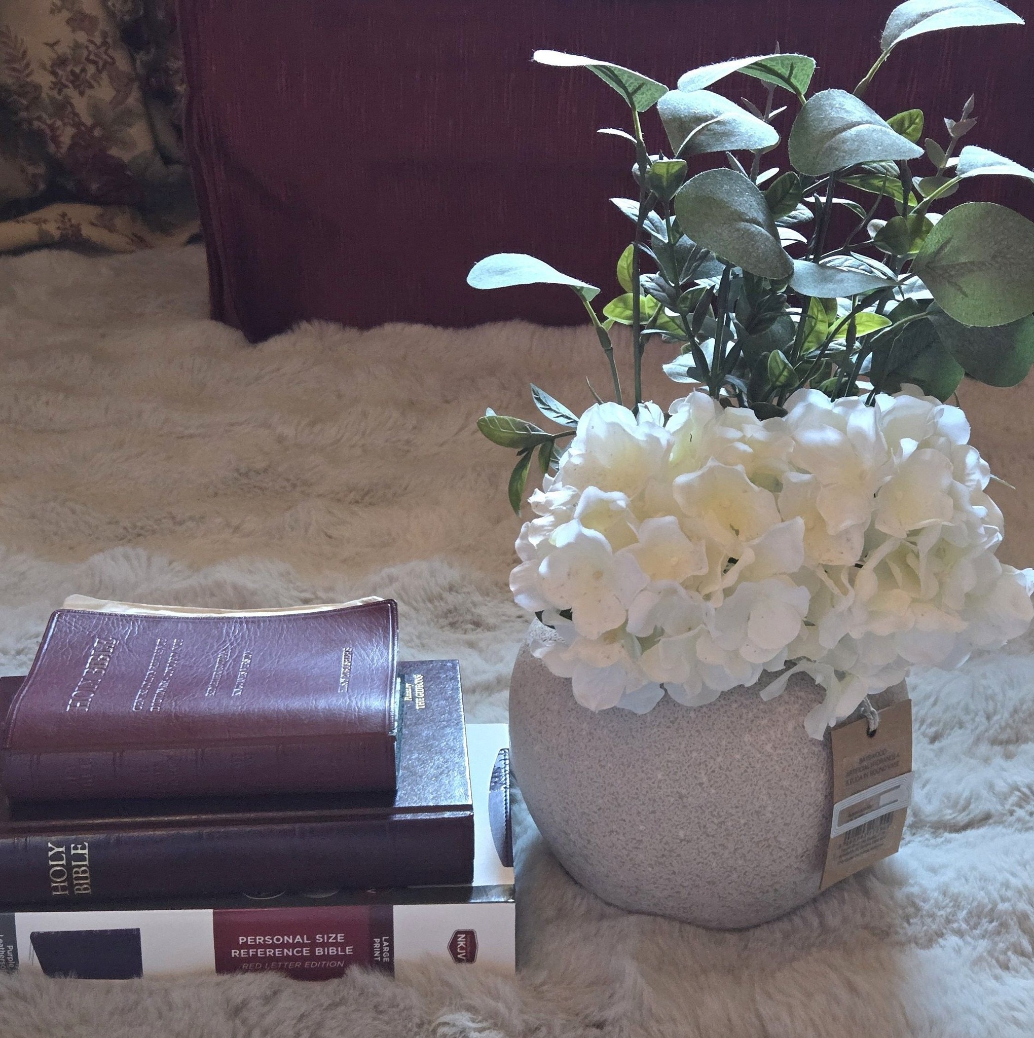 Daily Scripture Reading on Reels