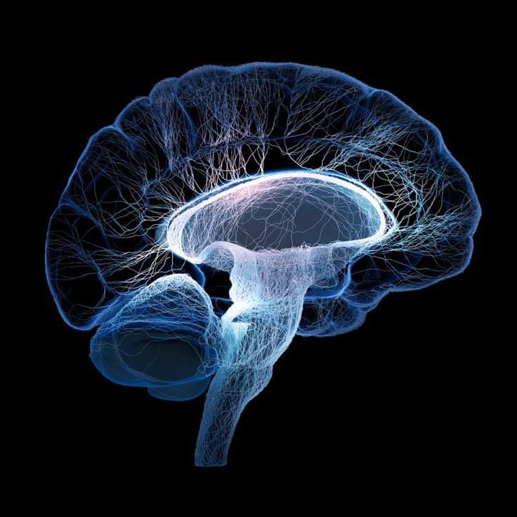 Psychology facts on Reels