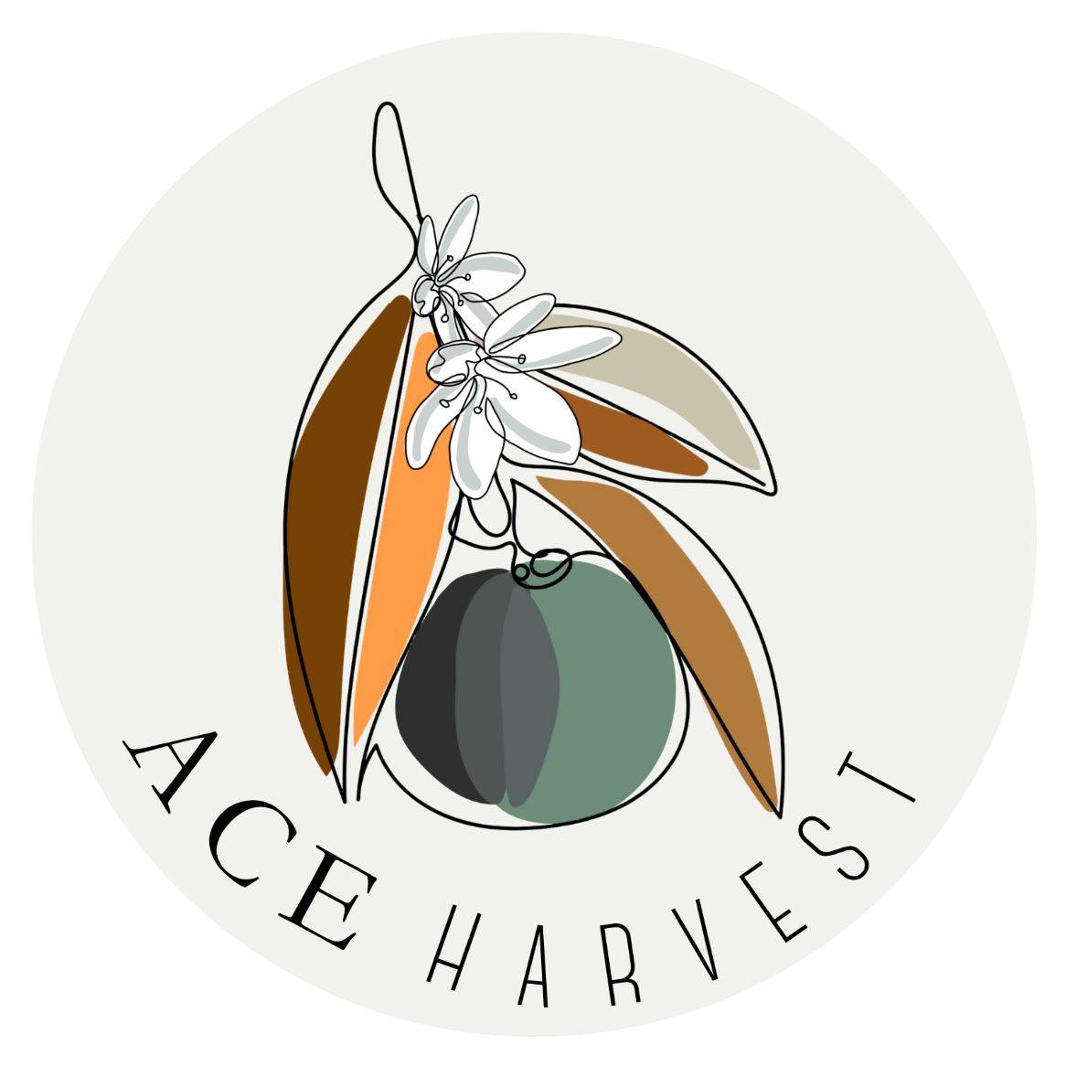 ACE Harvest Farmstand & Microbakery | Spring Hill FL