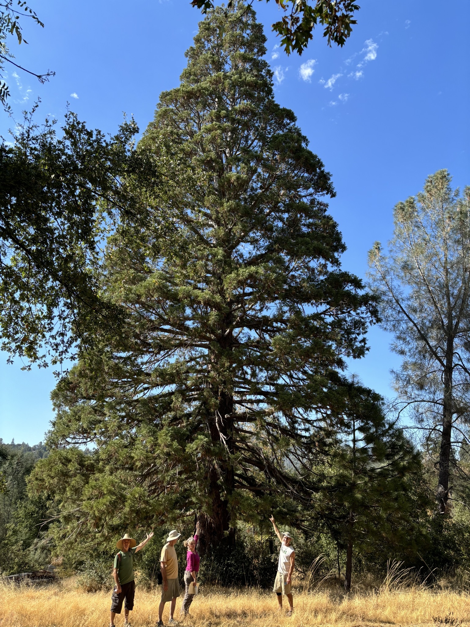 Cedar Springs Retreats | North Fork CA
