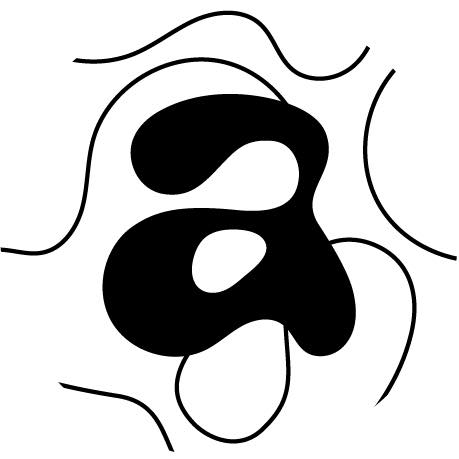 Walter Designs