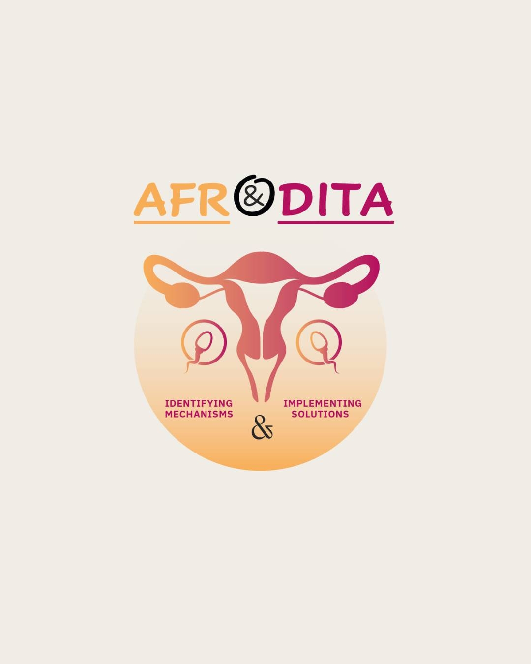 Afrodita European Doctoral Network