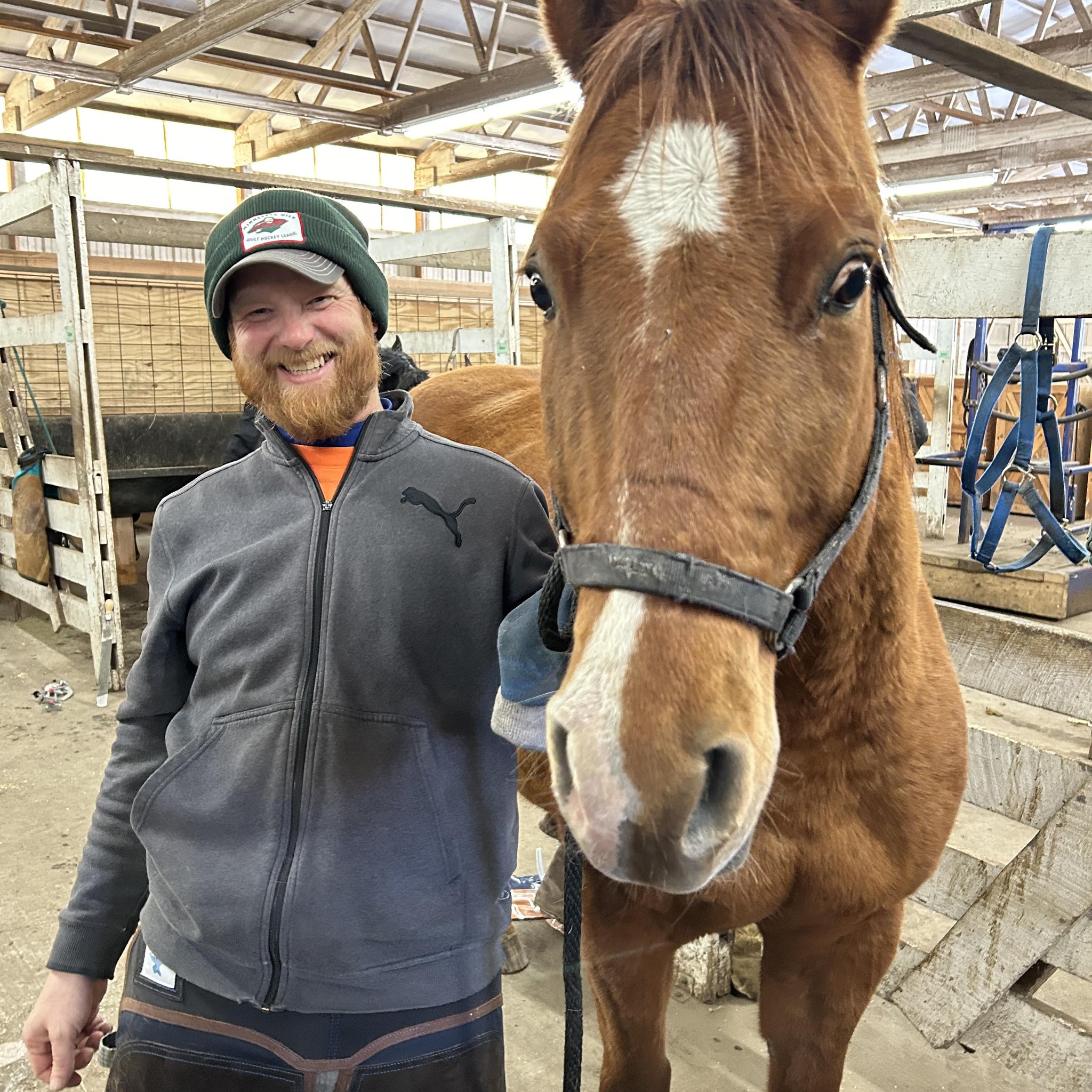 Mordal Farrier Service | Elk River MN