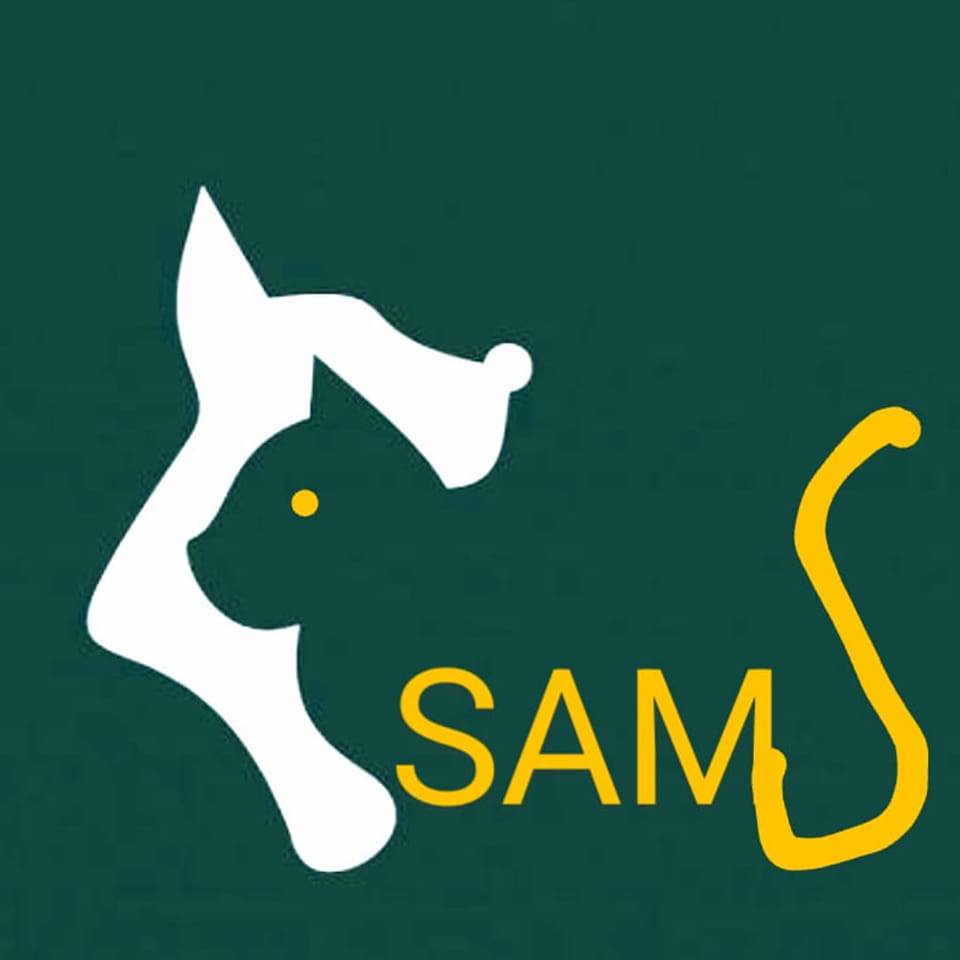 Street Animals Management Society SAMS | Bukit Tengah