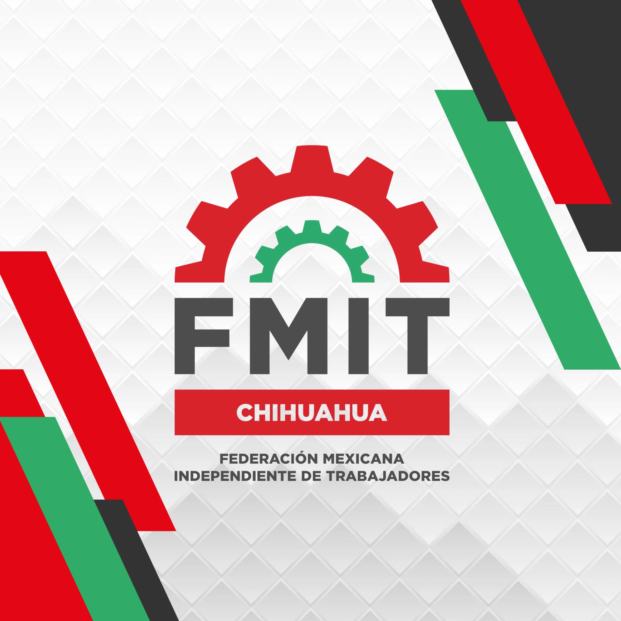 FMIT Chihuahua