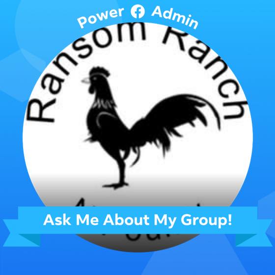 Ransom Ranch N Poultry