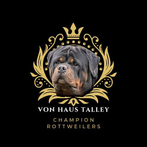 VHT Rottweilers | Virginia Beach VA
