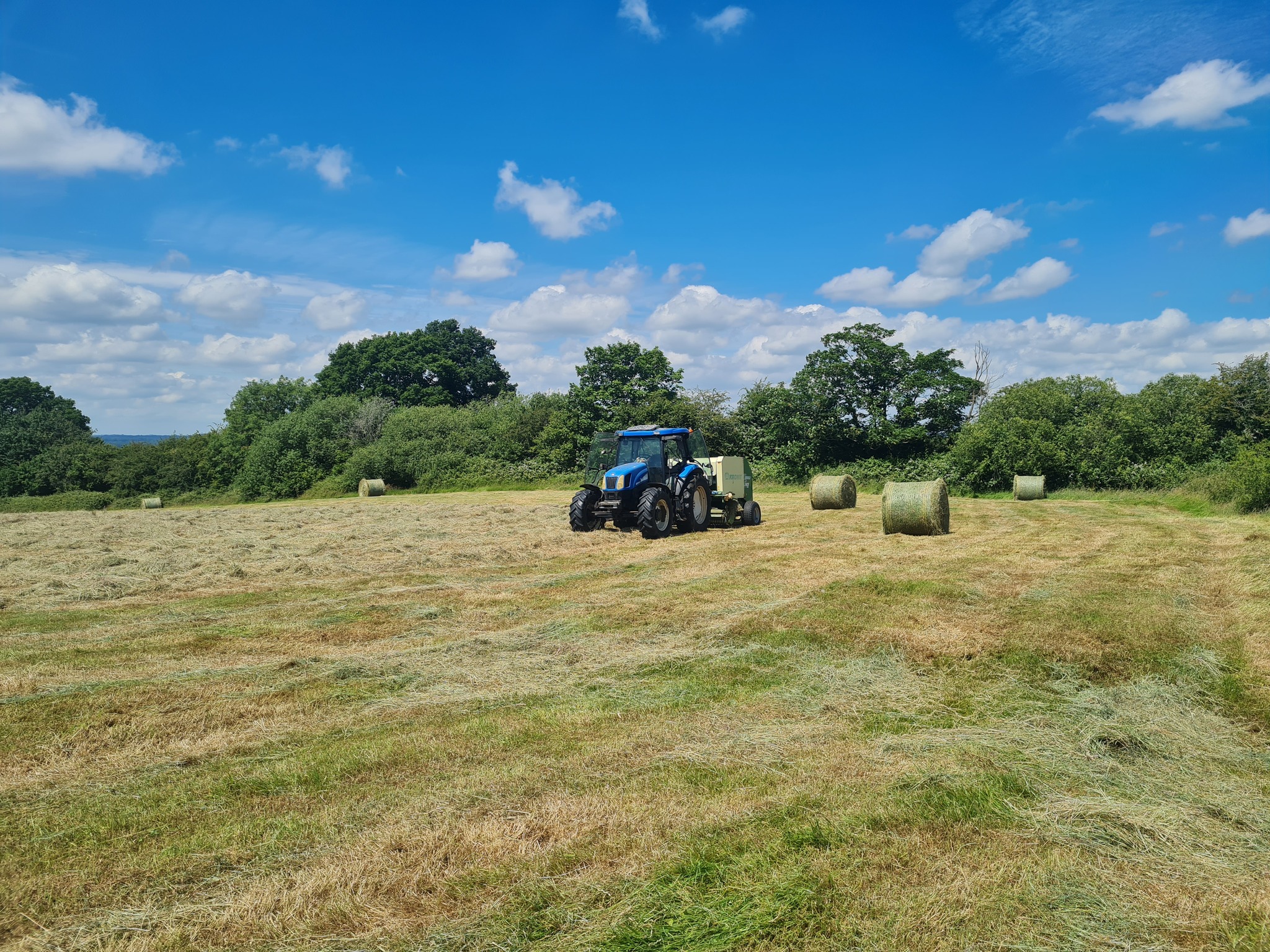 Grange Farm - Organic Beef Boxes | Trowbridge