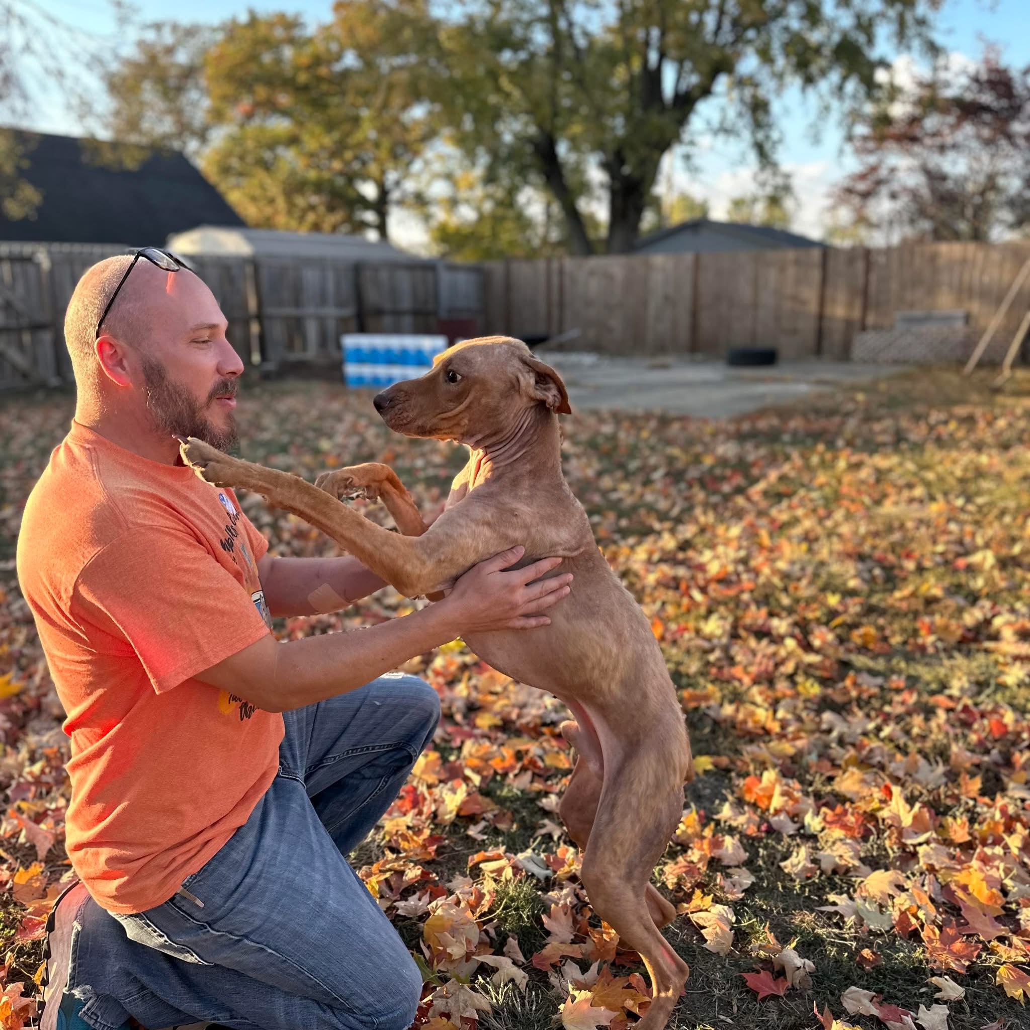 Happy Tails Animal Rescue 3.0 | Terre Haute IN