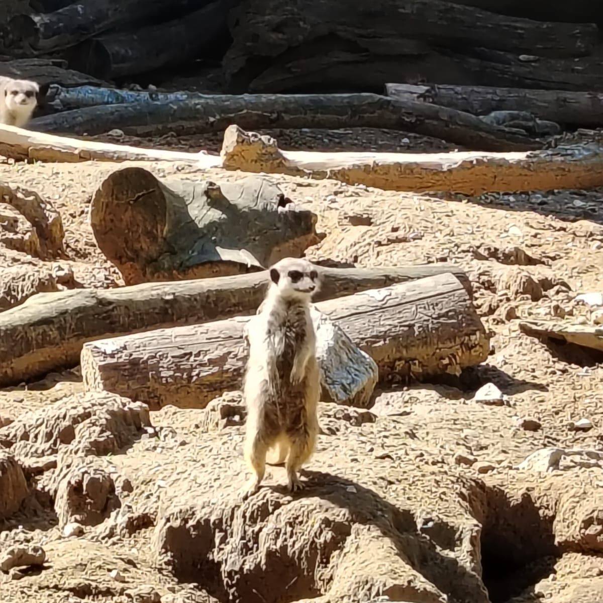 J'avais pu d'lait alors j'ai été acheter mon lait préféré 🙃 #humour # ...
