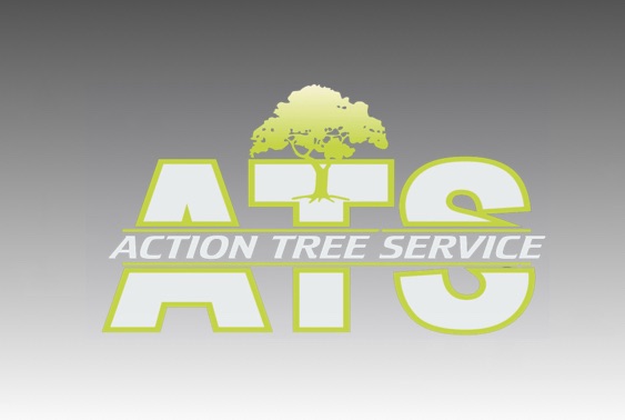 Action Tree Service | Elizabethtown PA