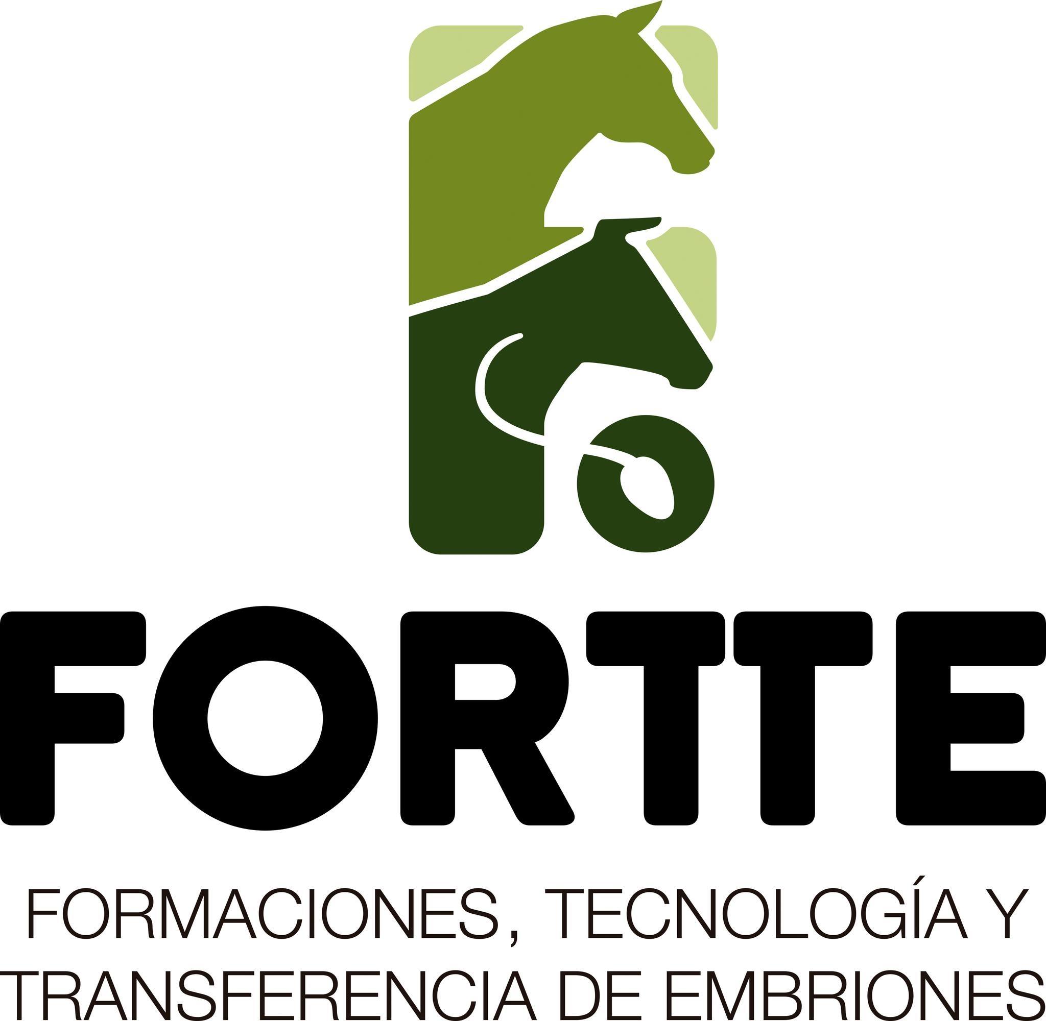 Fortte - CLASE MAGISTRAL: 