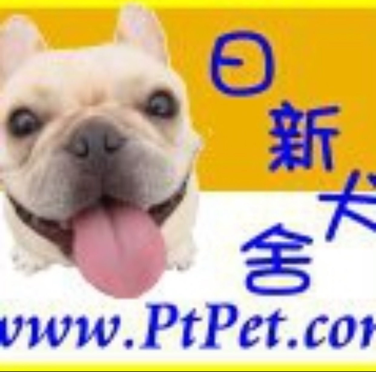 日新犬舍（第二粉絲團） | Pingtung