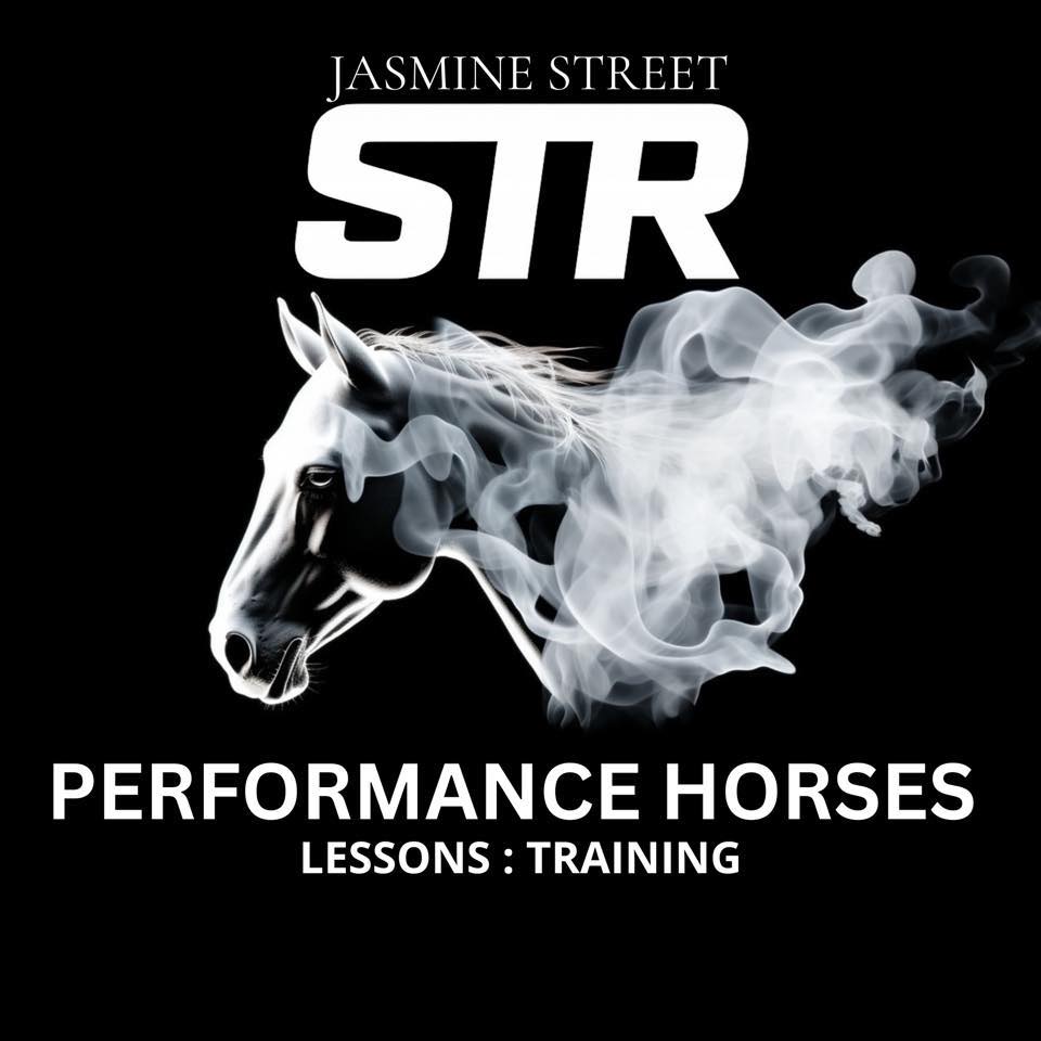 New Training Horse Arrival ... - STR Performance Horses | Facebook